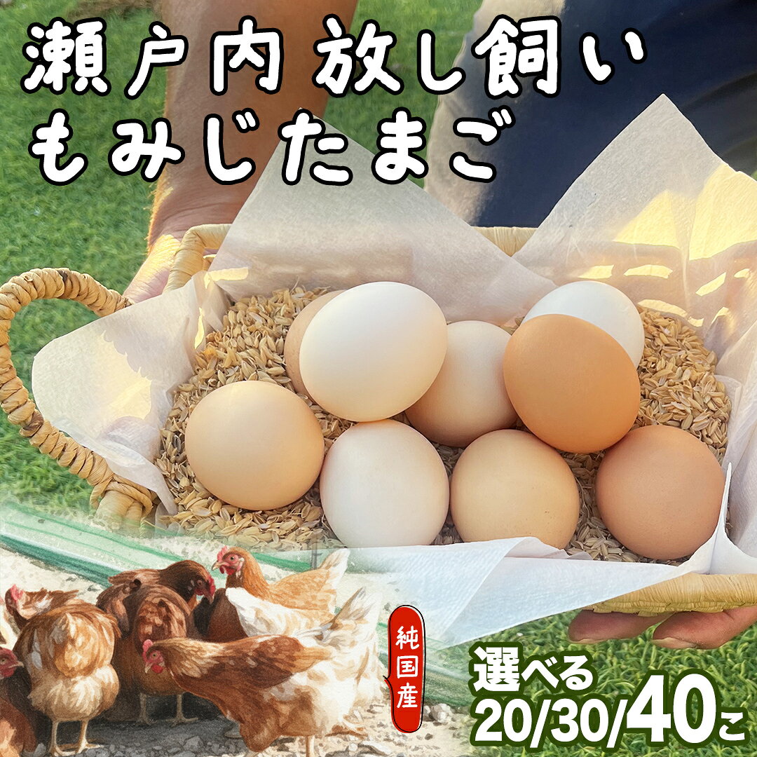 【ふるさと納税】大崎上島産 もみじの 卵 【 選べる内容量 】 たまご 玉子 タマゴ 鶏卵 20個 30個 40個 広島県 卵かけご飯