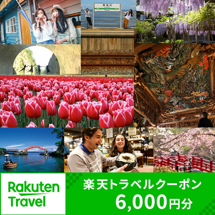 【ふるさと納税】新潟県の対象施設で使える楽天トラベルクーポン 寄付額20,000円 | 新潟 新潟県 温泉 ホテル 旅館 瀬波 月岡 越後湯沢 赤倉 岩室 旅行券 宿泊券 旅行 クーポン 宿泊 トラベル 観光