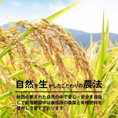ふるさと納税 大館市 【令和7年産】さいとうさん家のあきたこまち(精米)5kg(5kg×1袋) |  | 03