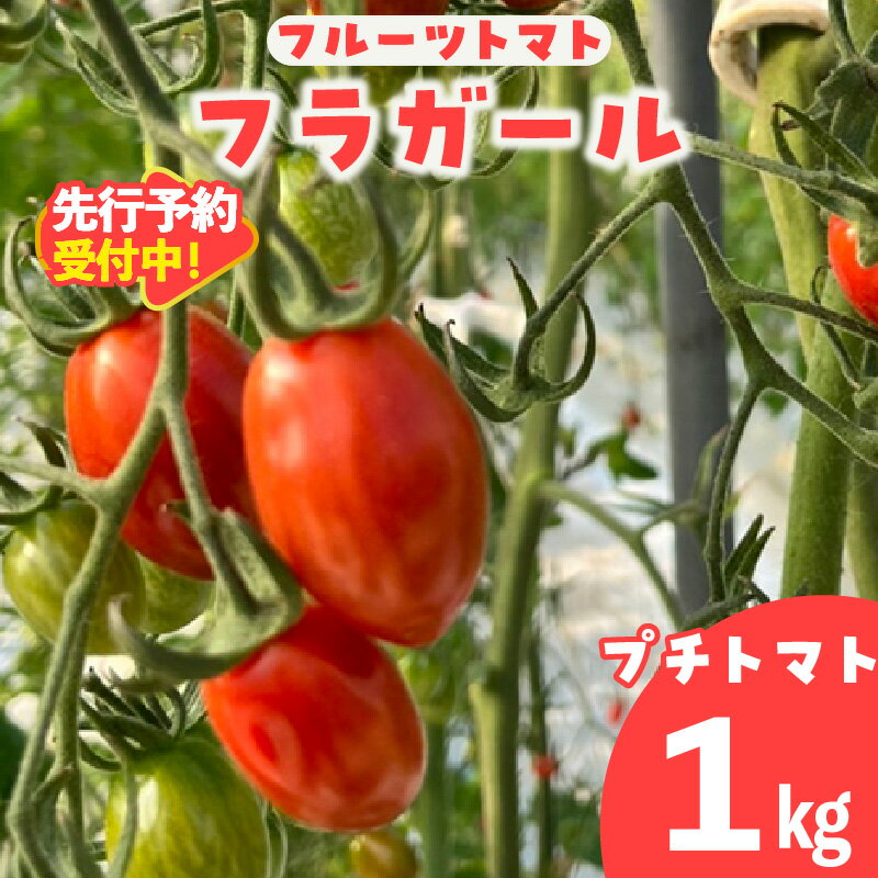 【ふるさと納税】【先行予約】フルーツトマト フラガール プチトマト（へたなし）【1kg】 よこた農園 野菜 トマト 新鮮野菜 太陽の恵み トマト料理 愛知県産 お取り寄せ グルメ へたを取り除いた状態でお届けします ※2025年12月頃から順次発送 送料無料
