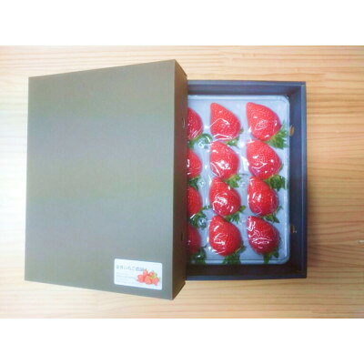 【ふるさと納税】金井いちご農園　贈答用いちご　1パック【配送不可地域：離島・北海道・沖縄県・中国・四国・九州】【1691425】