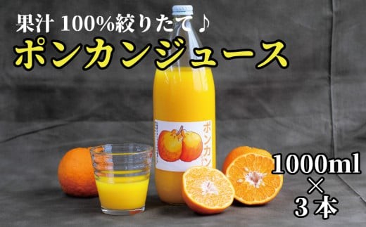 【太地町産】南紀たいじの【完熟】ポンカンジュース3本セット ぽんかん ポンカン ジュース 果汁 100% 太地 みかん みかんジュース ミカン【okm100A】