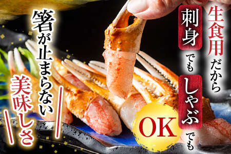生食用本ズワイガニ爪ポーション500g(お刺身・かにしゃぶ・フライ等) A-11222