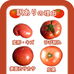 トマト 大玉 訳あり 2kg 野菜トマト トマト  IM002-NT-x