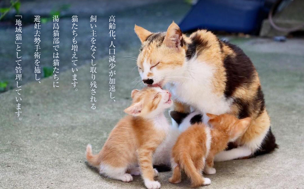 ねこの島！湯島！オリジナルステッカー【地域猫活動支援】
