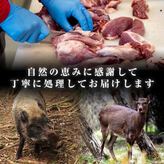i335 《毎月数量限定》鹿児島県出水市産大幸猪肉のブロック＜部位ランダム・約1kg＞自宅でジビエ料理！【大幸】
