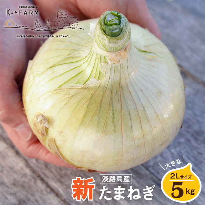 【新玉ねぎ】淡路島たまねぎ 大きな2Lサイズ 5kg【発送時期：2026年3月下旬～5月頃】　玉ねぎ 産地直送