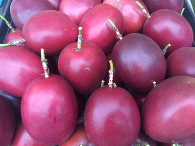 農家謹製☆パッションフルーツジュース（３本入）|パッションフルーツ ドリンク 飲み物