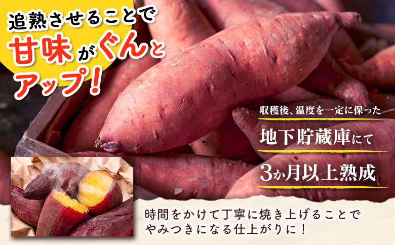 特製焼き芋！熟成蜜芋「紅はるか」計1kg 国産 新富町産 さつまいも ねっとり焼芋 イモ