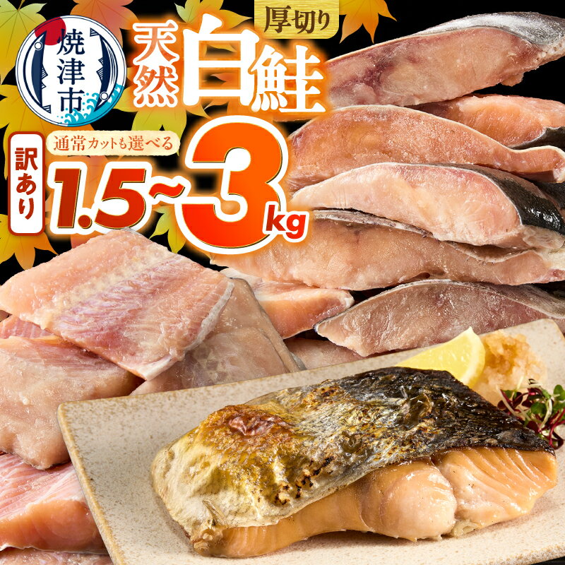 【ふるさと納税】 【選べるサイズ/容量】 訳あり 鮭 しゃけ さけ サケ 白鮭 切り身 厚切り 甘口 1.5kg 2kg 3kg ジッパーパック 大袋 天然 魚 冷凍 ご飯のおかず お弁当 いまる井川商店 焼津 a10-1177