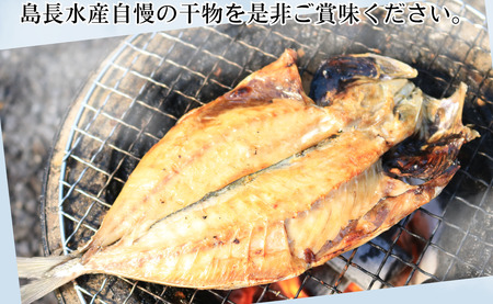 天日干し アジ干物 8～12枚 1パック2～3枚 8枚以上 10,000円 アジ あじ 鯵 干物 ひもの アジ干物 あじ干物 冷凍 無添加 新鮮 海鮮 焼魚 おかず 朝食 夕食 おつまみ 日本酒 ビー