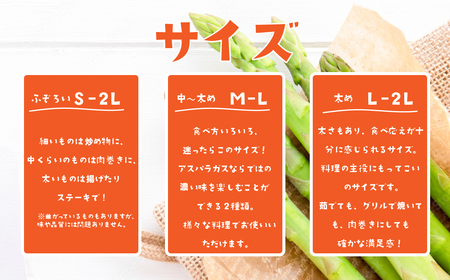【先行予約】アスパラガス春芽　M~Lサイズ　1㎏（2025年3月下旬~5月下旬発送予定）