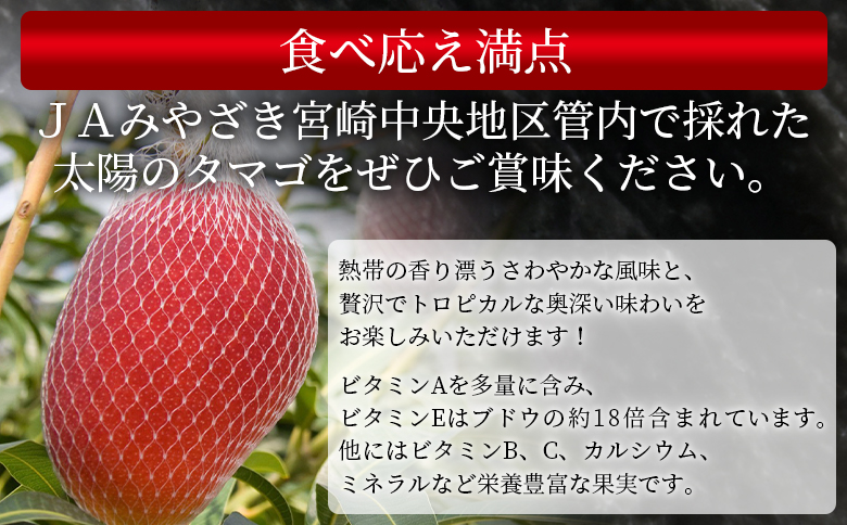 ＜宮崎県産 太陽のタマゴ A等級 A5Lサイズ×1玉（約700g）＞2025年4月下旬～2025年6月下旬迄に順次出荷【 太陽のタマゴ 完熟マンゴー 完熟 マンゴー フルーツ トロピカルフルーツ 果物