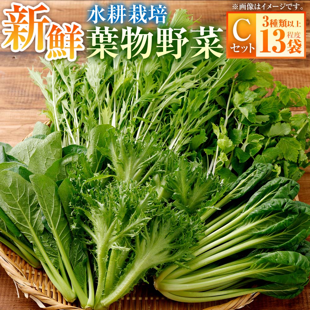 【ふるさと納税】水耕 栽培 新鮮 葉物 野菜 Cセット GreensFarm ホタル サラダ 和え物 M10S101 岐阜県 美濃加茂市 送料無料【2026年11月上旬～2027年6月上旬発送予定】