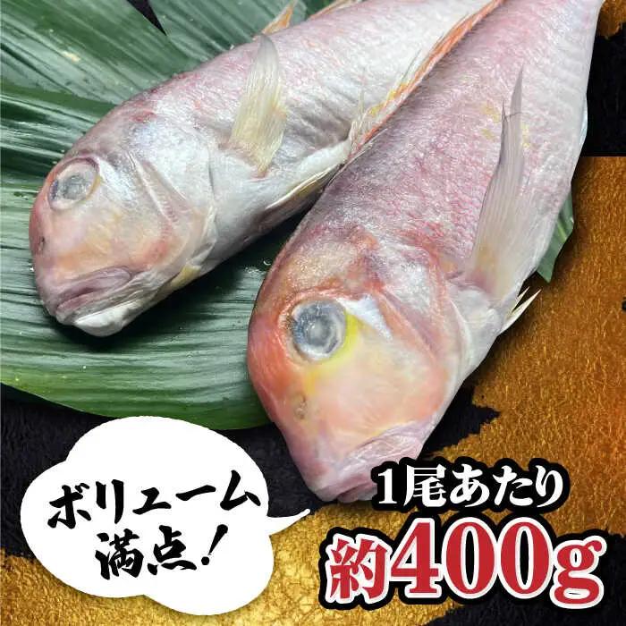 甘鯛一夜干し2尾(1尾あたり約400g) おつまみ おつまみ おつまみ /やきとり紋次郎 [FCJ075]