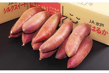 009-1茨城町産紅はるか10kg（さつまいも）【2025年11月中旬頃より発送予定】