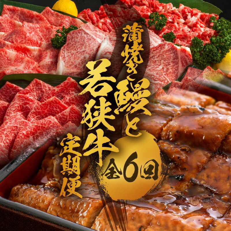 【ふるさと納税】【定期便 6回コース】 蒲焼き鰻 と 肉の鉄板コース 定期便 【うなぎ＆若狭牛】石ちゃんもまいう〜とうなった絶品のウナギと若狭牛！ 【牛肉 牛 国産牛 国産 和牛 お肉 ブランド牛 焼肉 鰻のかば焼き ウナギ 黒毛和種 黒毛和牛 A4等級クラス 人気】