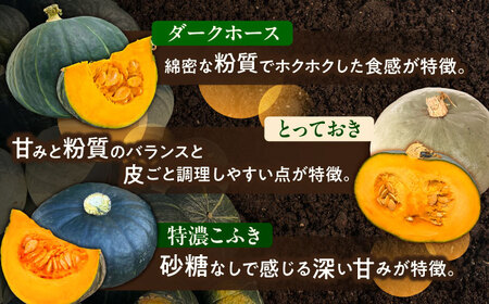 【先行予約】北海道 かぼちゃ ダークホース・とっておき・特濃こふき 3種類×2個 【9月中旬以降発送】足寄町/足寄アグリバイオ株式会社[BEAC013]