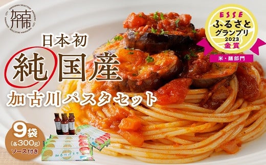 
            加古川パスタセット《 加古川パスタ パスタ セット パスタセット もちもち食感 ナポリタン ナポリタンソース ソース付き 》【2402H04608】
          