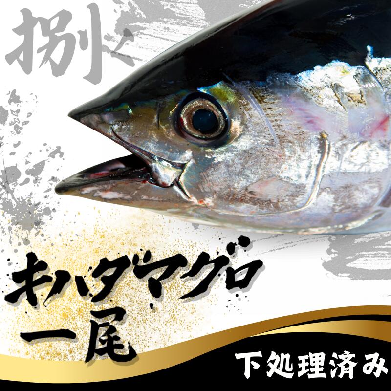 【ふるさと納税】 キハダマグロ 1尾 下処理済み 和歌山県すさみ町産 / マグロ 丸ごと 魚 捌く 鮪 海鮮丼 寿司 手巻き寿司 漬け丼 海鮮 海の幸 魚介 新鮮 刺身 和歌山 すさみ町 キハダマグロ 大容量 【scp123】