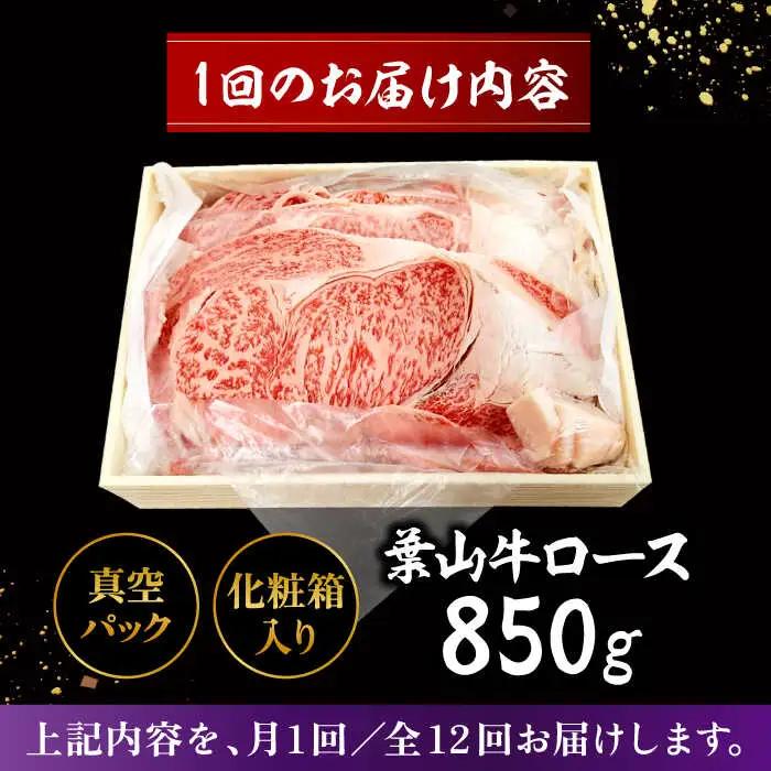【全12回定期便】【化粧箱入り】葉山牛ロース すき焼きセット(葉山牛ロース850g) ／ 牛肉 和牛 すき焼き 神奈川県[ASAP016]