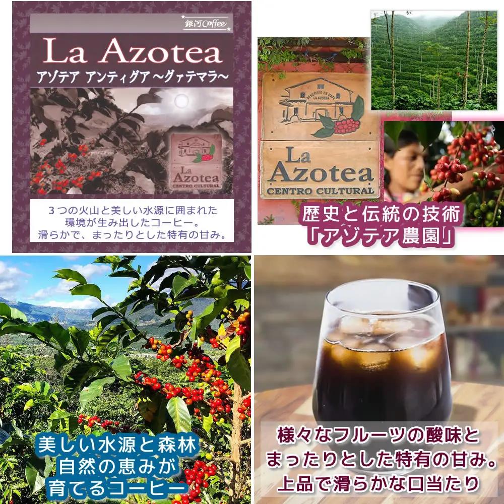 【12203-0126】水出し珈琲セット（お手軽版） 世界の高級コーヒー80g×4種 銀河コーヒー ふるさと納税 市川市 返礼品