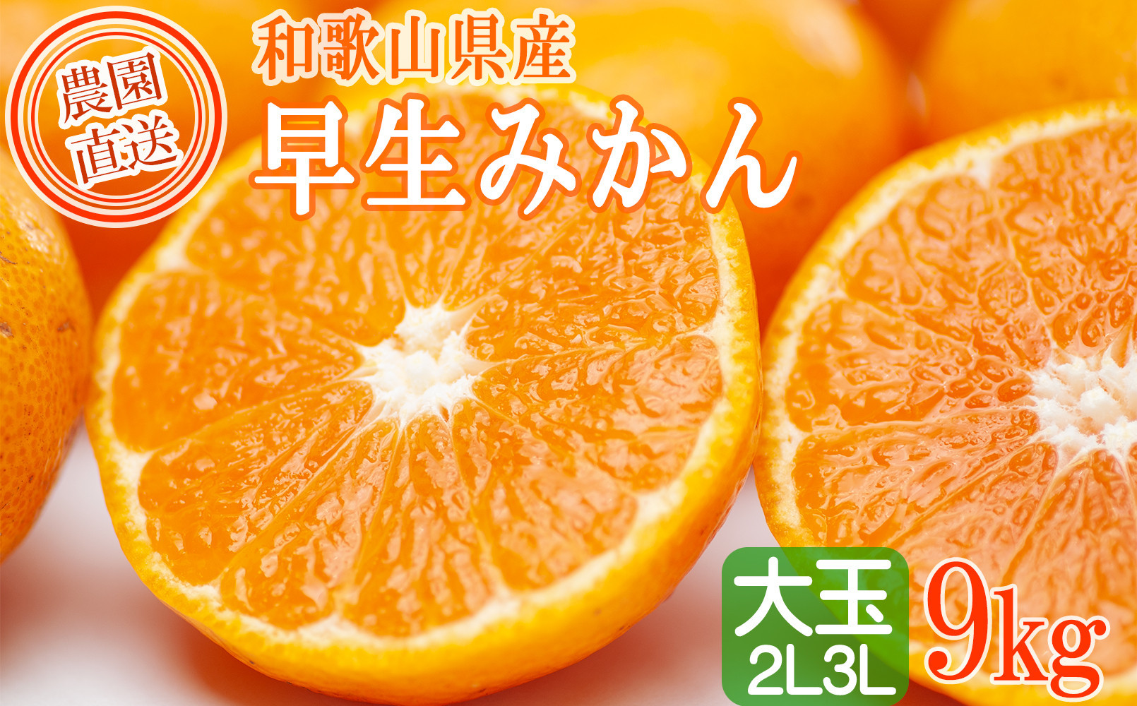 早生みかん 約9kg 大玉 2L・3Lサイズおまかせ 《ご家庭用》 和歌山県産 農園直送 まごころ産直みかん 【北海道・沖縄県・一部離島 配送不可】大きい 蜜柑 温州みかん ちょっと訳あり わけあり 訳アリ ［Mg51］