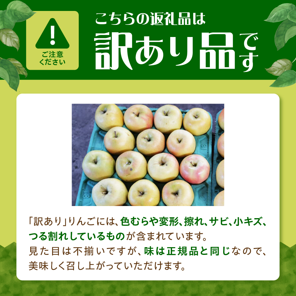 【2026年10月発送】【訳あり】 りんご 約5kg トキ〈樹上完熟〉 青森産