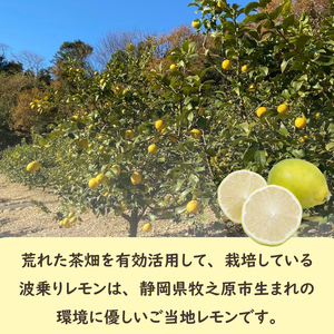 【ふるさと納税】事前受付 牧之原産 波乗りレモン 璃の香 2kg 国産 Lemon 檸檬  柑橘類 柑橘 フルーツ 果物 酸っぱい 果肉 酸味 防腐剤不使用 静岡県 牧之原市