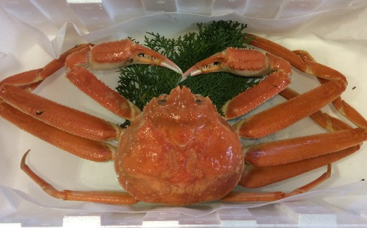 
            足１本なしボイル松葉ガニ訳あり（中６５０ｇ）【魚倉】
          