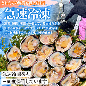 訳あり 大アサリ あさり アサリ 貝 魚貝 1kg 愛知県 南知多町