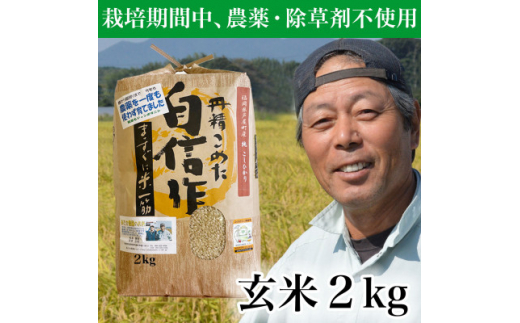 
＜令和5年産＞玄米 農薬不使用(栽培期間中) 福岡県芦屋町産コシヒカリ 〈玄米〉2kg【1389003】
