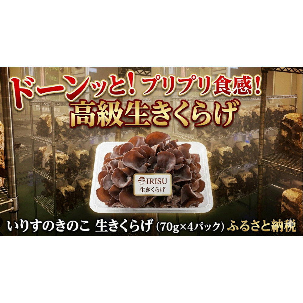 【ふるさと納税】いりすのきのこ 生きくらげ（70g×4パック） | 着物レンタル 着付け 選べるプラン チケット 体験 観光 ICスタイル ふるさと納税 出雲市