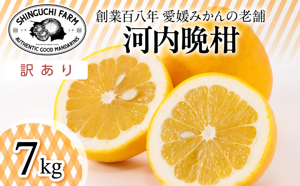 
                  【先行受付】＜太陽の恵みをギュッと凝縮＞河内晩柑 訳あり 7kg 愛媛県産＜D70-45＞みかん ミカン 柑橘 柑橘類 フルーツ 果物 くだもの 人気 美味しい 愛媛県 八幡浜 ふるさと【1537315】 YWTK045
                