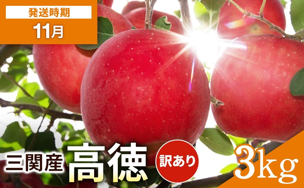
            湯沢市三関産 りんご 高徳（こうとく） 家庭用 訳あり 3kg ふるさと納税 旬 果物 フルーツ ジューシー 甘い 秋田県【藤山果樹園】[K2804]
          