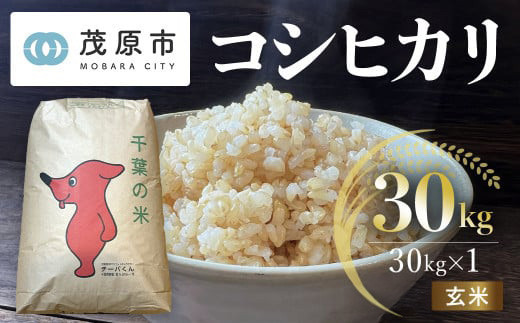 新米 令和7年産 千葉県茂原市産 コシヒカリ 玄米30kg 【ふるさと納税 おすすめ 人気 ランキング お米 米 精米 コシヒカリ 玄米 千葉県 茂原市】MBAM013