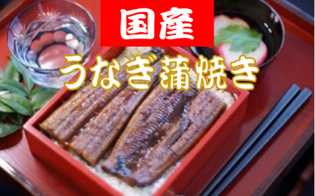うなぎ 蒲焼 約150g×5匹 鰻 TR0020