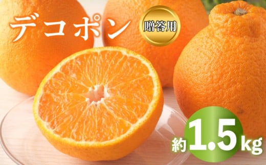 2026年 先行予約 デコポン 約1.5kg 不知火 しらぬい みかん 柑橘 蜜柑 オレンジ 果物 フルーツ 果実 旬 家庭用 1月下旬～3月中旬 配送 香川県 丸亀市