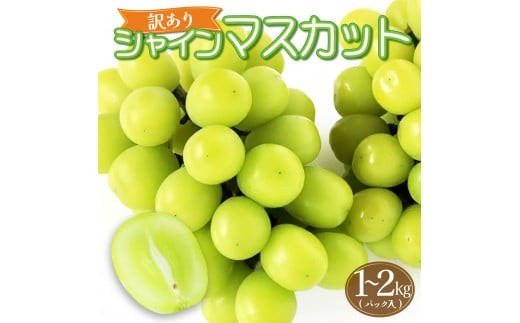 
            KZBSP ＜訳あり＞ パック入り　シャインマスカット 　約1kg ～ 2kg【KAZUSAN農園】
          