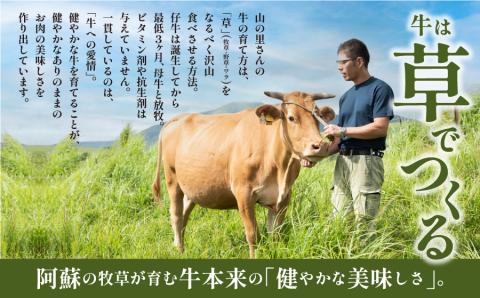 【NHKあさイチで紹介されました！】生産者直送！GI認証　くまもとあか牛すき焼き・しゃぶしゃぶ用１kg(500g×2パック)