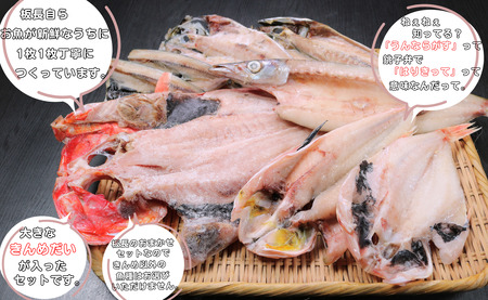 干物 地魚干物セット7～9枚  干物