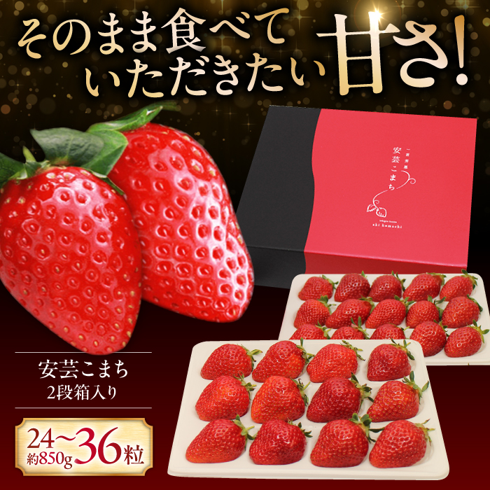【先行予約】【12月下旬から順次発送】水素水で育ったいちご「安芸こまち」2段箱入り（約850g）（24粒～36粒入） 低農薬 苺 イチゴ 高級 フルーツ 果物 ベリー ギフト 贈答 三次市/田中電機工業 [APBI003]