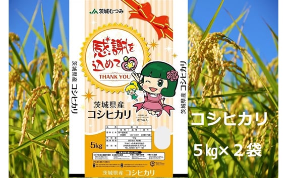 
            【令和7年産】茨城県産コシヒカリ10kg（5kg×2袋）精米 JA茨城むつみ ／ こしひかり 令和7年 新米 米 お米 おこめ こめ コメ 精米 白米 ご飯 国産米 10kg 10キロ おいしい お取り寄せ 産地直送 産直 坂東市産 茨城県産 茨城産 茨城県 特産品 No.179
          