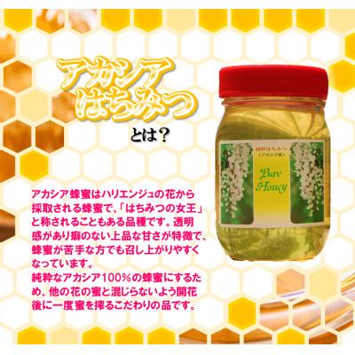 ふるさと納税 中島村 中島村産100%アカシア蜂蜜1kg |  | 01