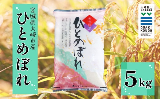 
            《精米》宮城県大崎市産 有機肥料低農薬栽培米 ひとめぼれ5kg【2024年産】｜バランスの良い万能米・送料無料【1袋】
          
