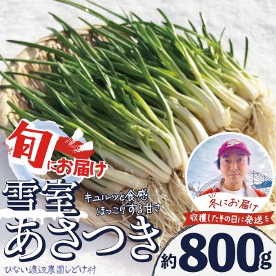 ふるさと納税 大館市 あさつき キュルッと食感、ほっこりする甘さ 約800g