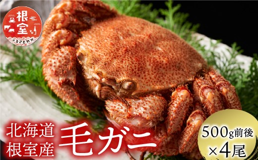 
            D-21004 【北海道根室産】毛がに500g前後×4尾
          