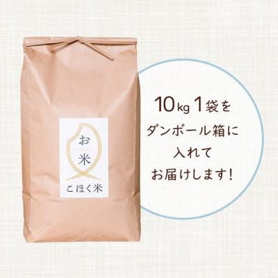 ふるさと納税 長浜市 令和6年産 滋賀県湖北産 湖北のコシヒカリ　玄米　10kg 【食味最高ランク特A 3年連続受賞】 |  | 01