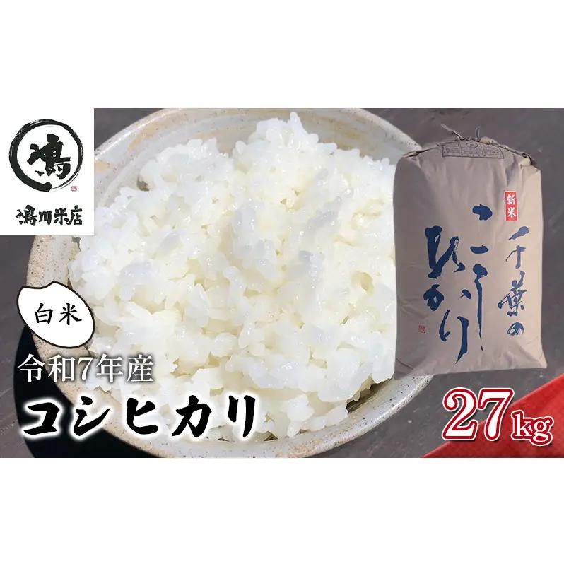 コシヒカリ 白米 令和7年 千葉県産 コシヒカリ【27kg】