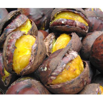 ふるさと納税 水戸市 茨城県産　くりやの焼き栗　220g×3袋